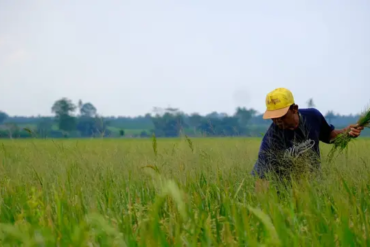 Update Korban Kecelakaan Beruntun Tol Cipularang: 5 Meninggal, 4 Luka Berat, 24 Luka Ringan